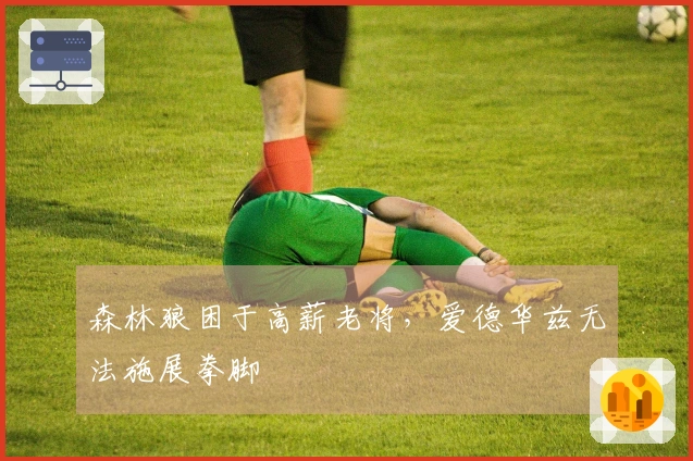 森林狼困于高薪老将，爱德华兹无法施展拳脚